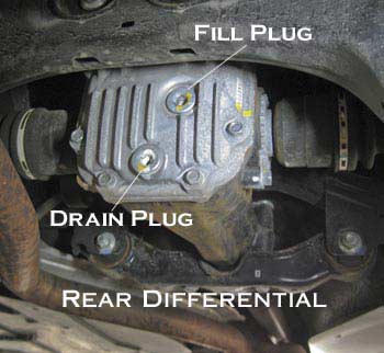 Rear Differential Fill plug and Drain plug