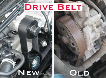 Drive Belt