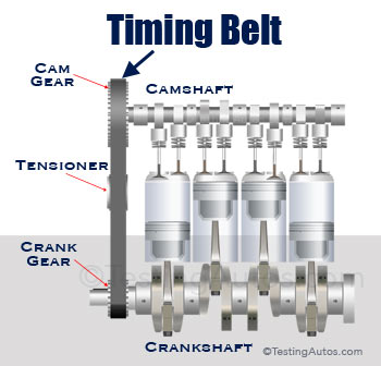 Timing Belt