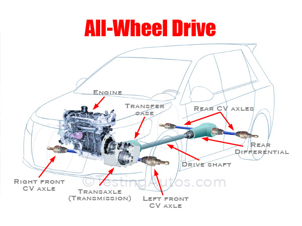Diagram For Cars